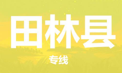 佛山到田林县物流专线_佛山至田林县物流公司_佛山到田林县货运专线
