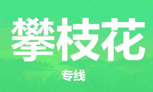 佛山到攀枝花物流专线_佛山至攀枝花物流公司_佛山到攀枝花货运专线