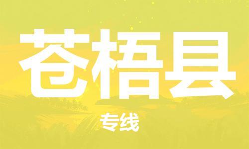 广州到苍梧县物流公司|广州至苍梧县货运专线